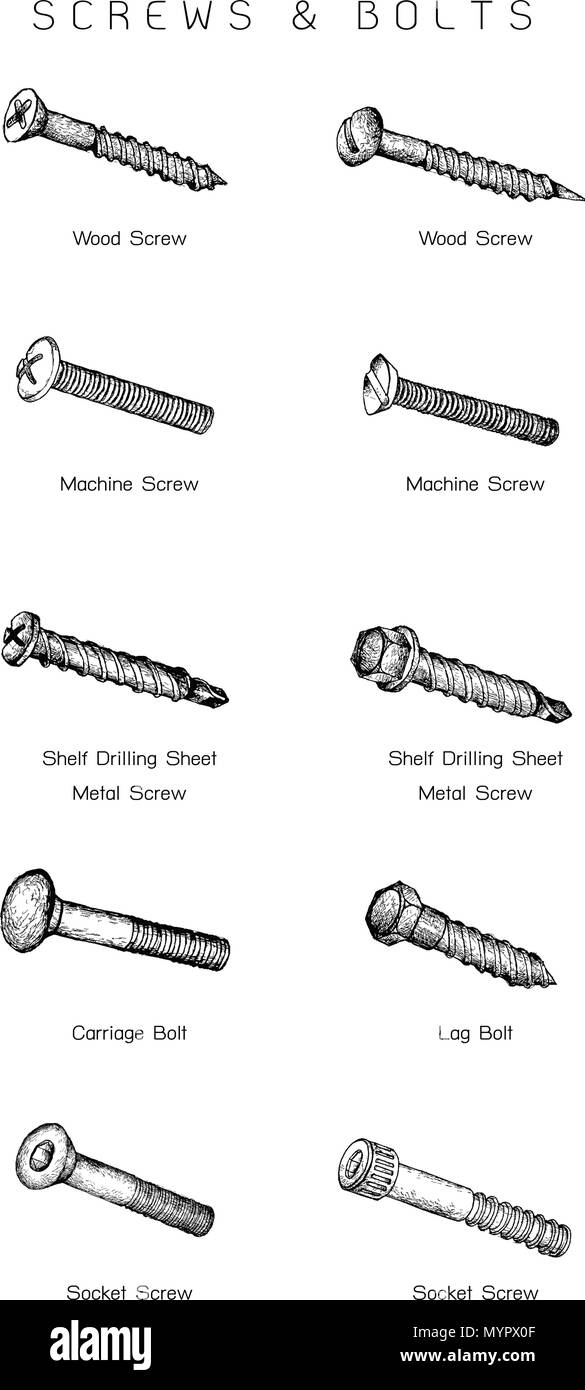 Manufacturing and Industry, Illustration Hand Drawn Sketch Set of Screw
