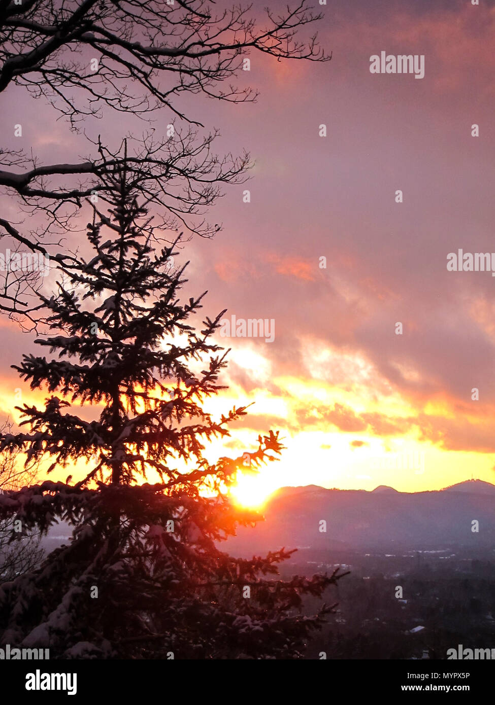 Winter view of the Blue Ridge Mountains at sunset through silhouette of Blue Spruce and White Oak trees. Asheville, North Carolina. Stock Photo