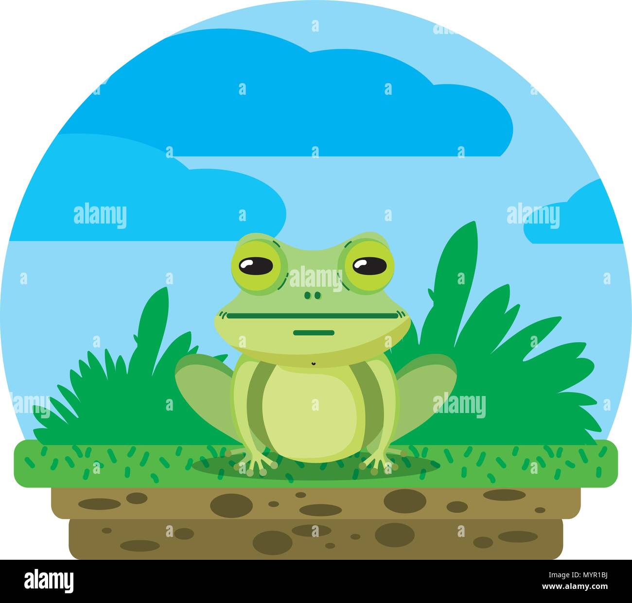 cute frog wild animal in the landscape Stock Vector Image & Art - Alamy