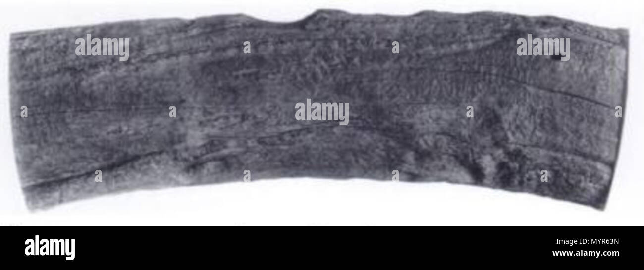 . One of 26 rongorongo tablets that may be authentic. prehistoric ...