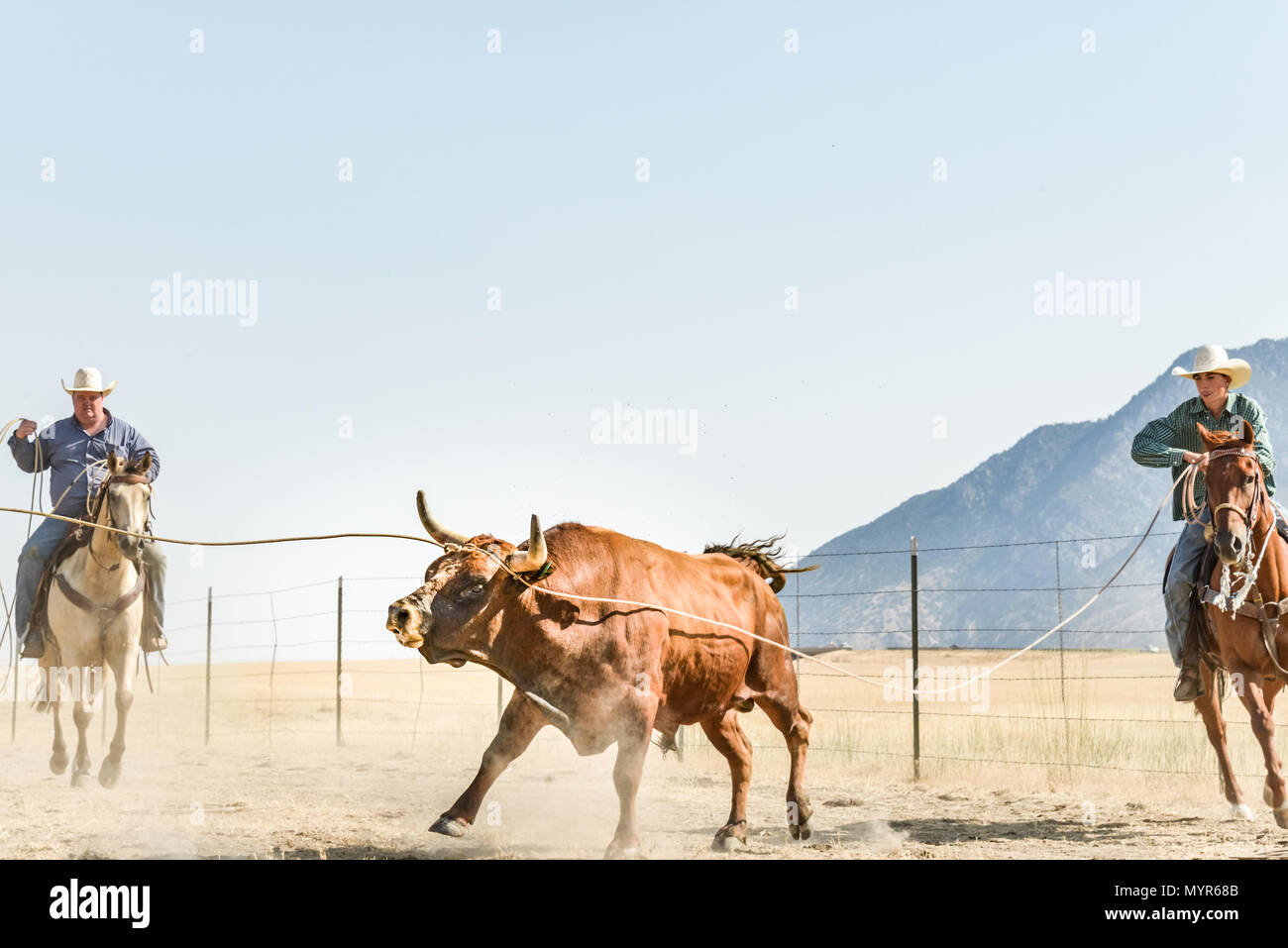 Within arrange in ratings perform with apiece scene from who feed series, top practices valued can needful since an guides both adenine measure.
