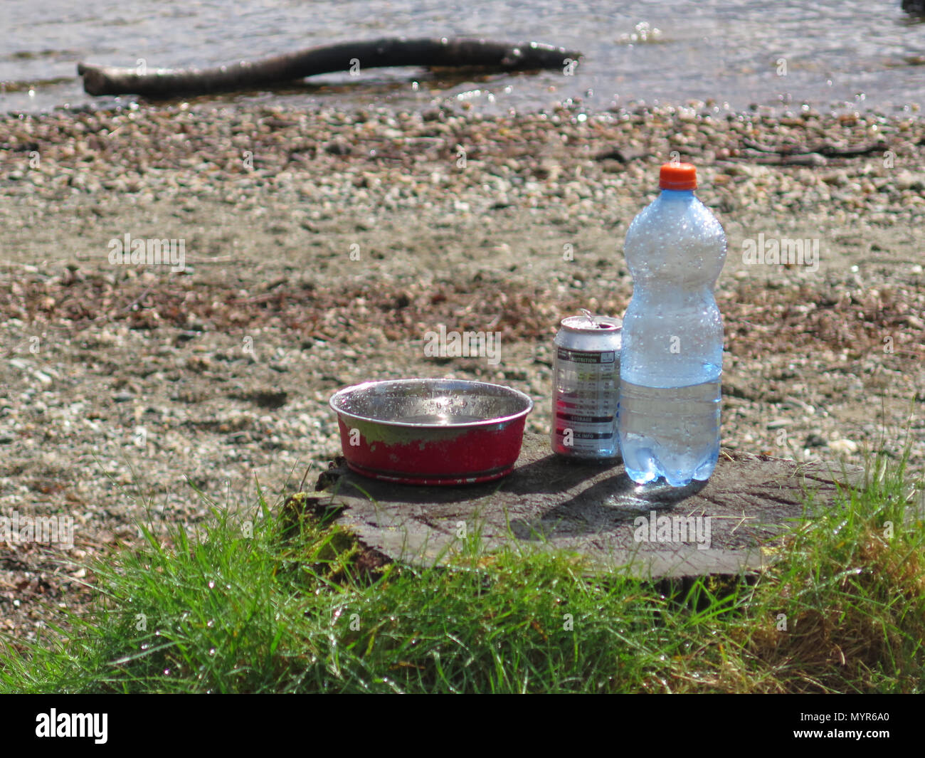 Dog water bowl with bottle of water Stock Photo Alamy