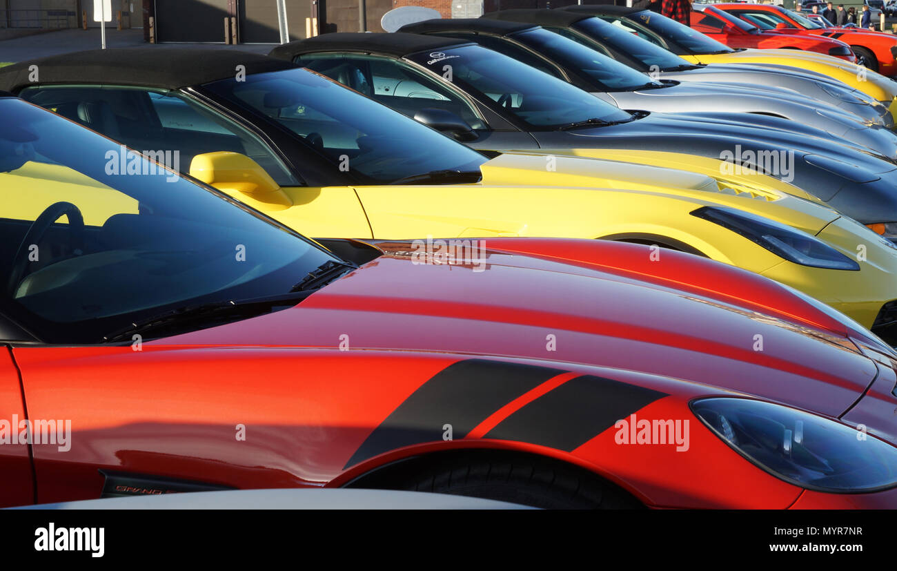 Laval,Canada,11 May,2018.Row of Corvette Stingray's at a local car show.Credit:Mario Beauregard/Alamy Live News Stock Photo
