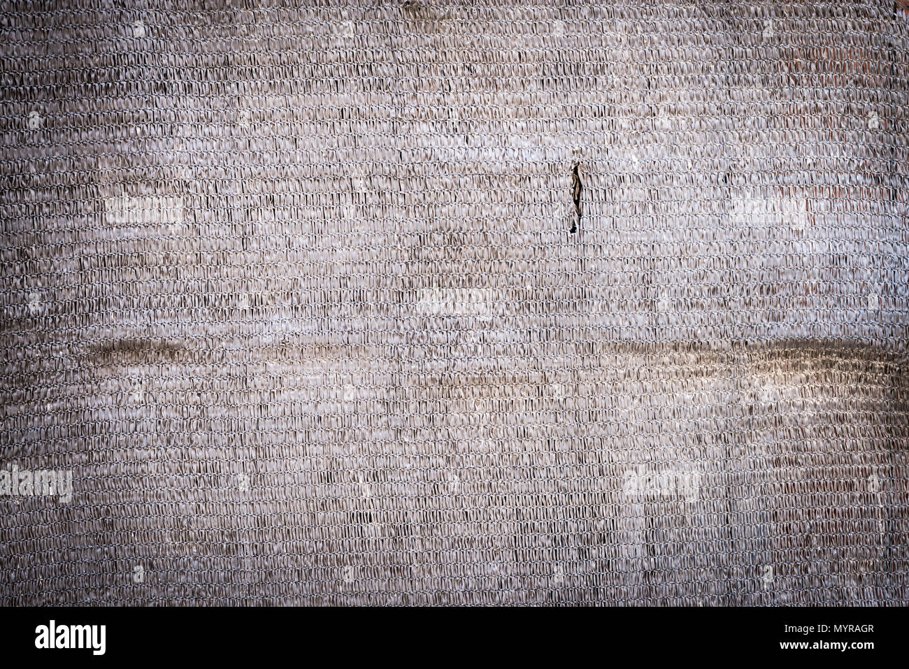 An old wall texture & colored background  ( resource for your designs ) Stock Photo
