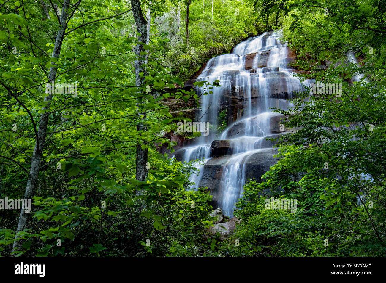 Daniel Ridge Falls or Tom's Spring Falls - Pisgah National Forest - near Brevard, North Carolina, USA Stock Photo