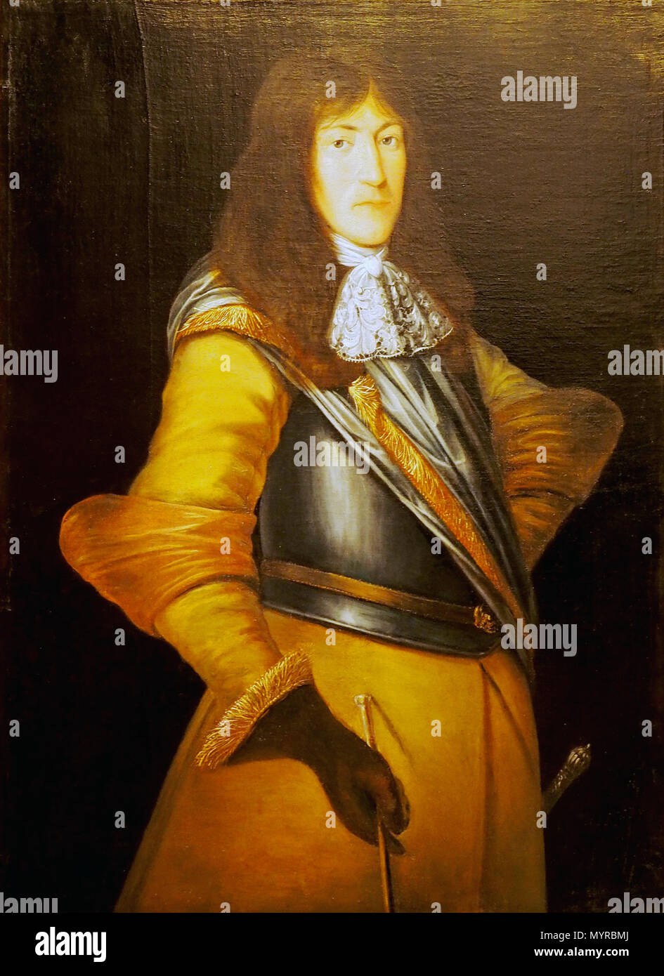 wilhelm von braunschweig luneburg hires stock photography and