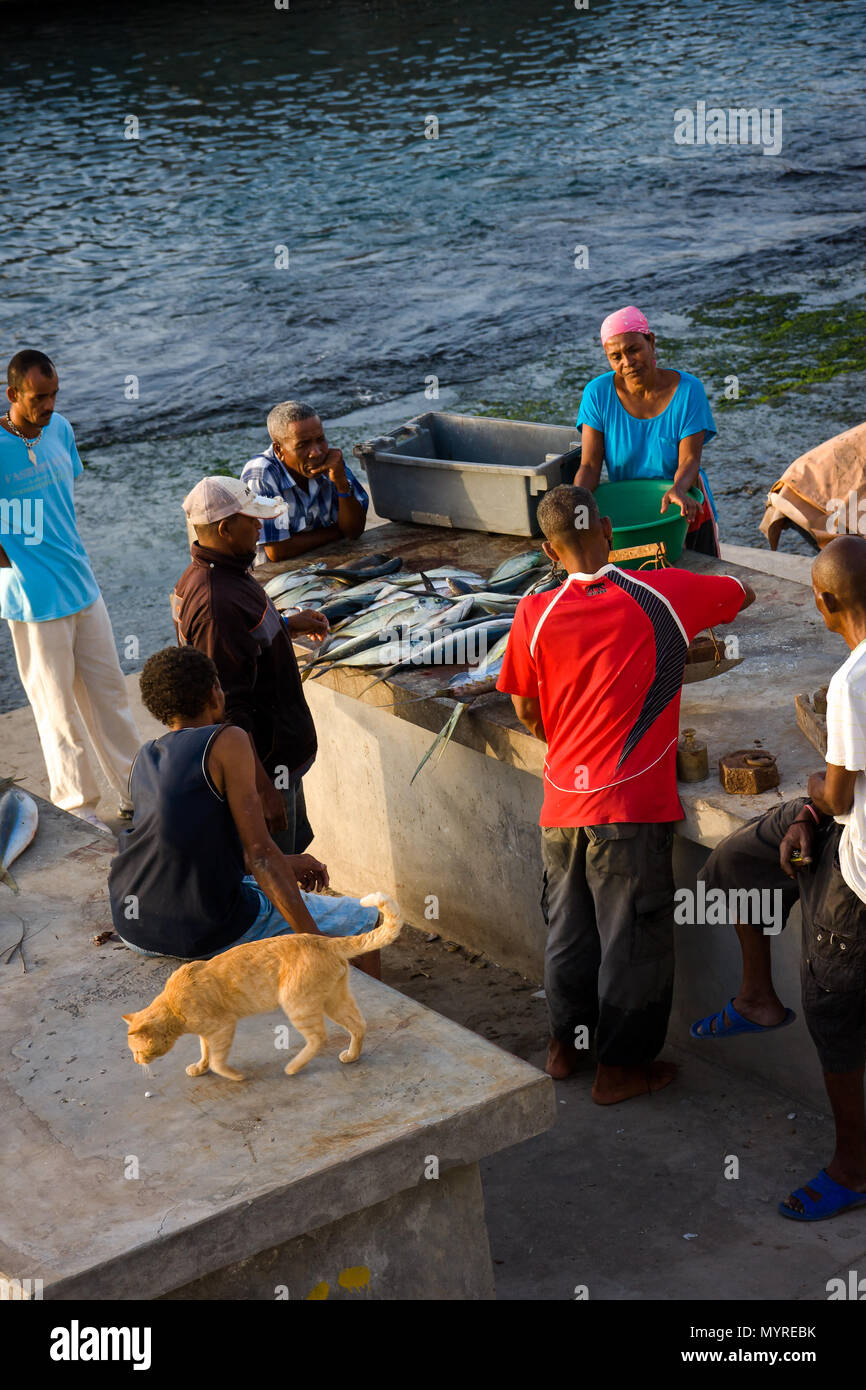 Villagers buying  freshly caught fish from fisherman right in the port PONTA DO SOL, CAPE VERDE - DECEMBER 08, 2015 Stock Photo