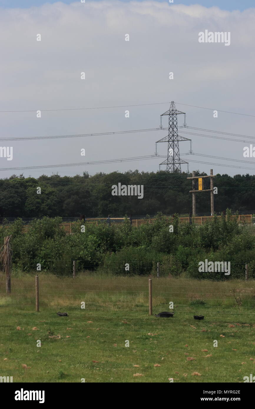 Electricity pylon, Yorkshire Wildlife Park, Branton,Doncaster, South
