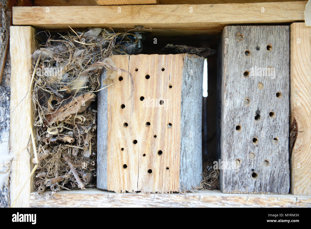 insect shelter for wild bees. insect house Stock Photo - Alamy