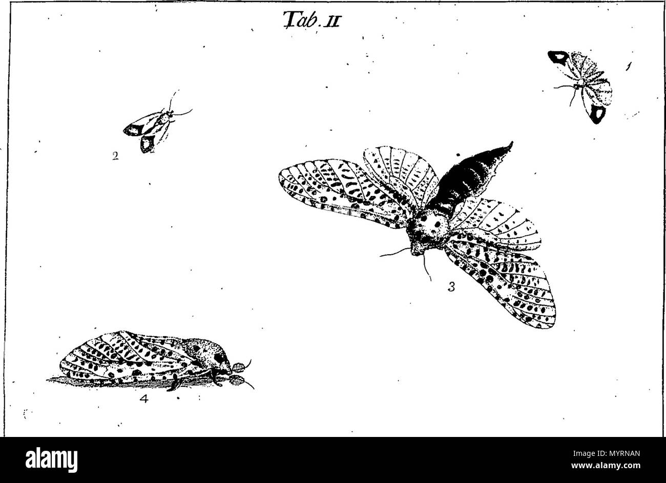 Exposition of english insects hi-res stock photography and images - Alamy