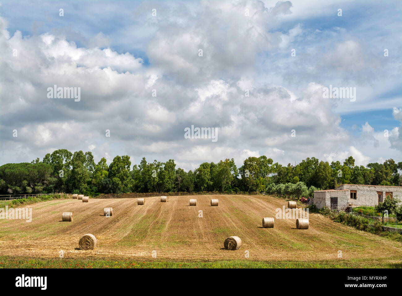 Landscape of field with bales of hay under cloudy sky of spring Stock ...