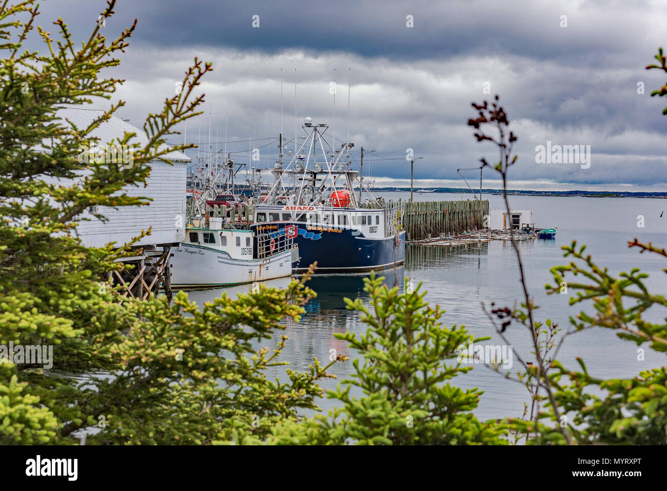 Lobster boats in harbour, Shelburne, Nova Scotia, Canada Stock Photo