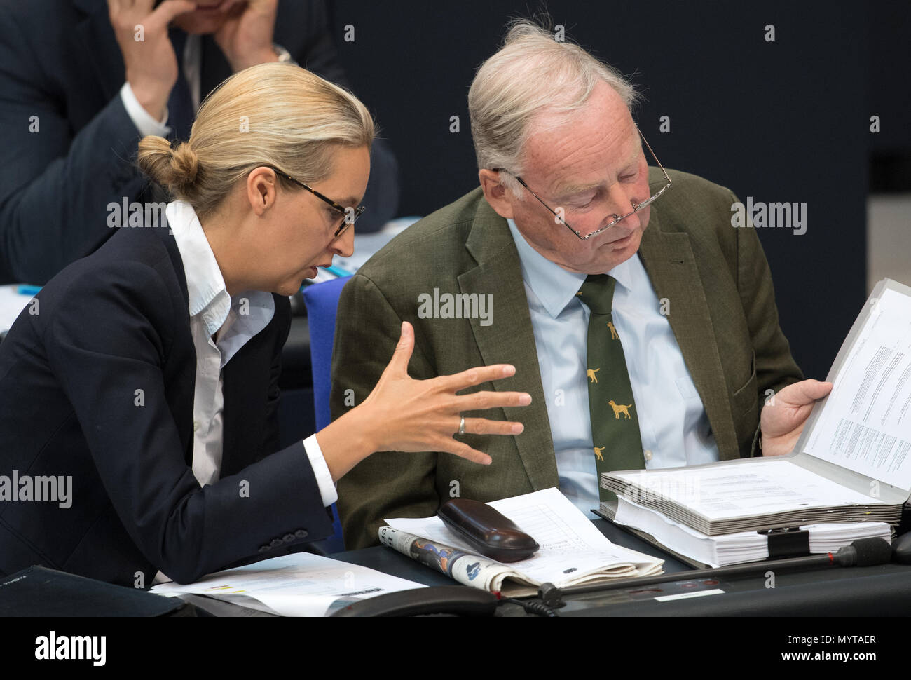 08 June 2018, Germany, Berlin: Alice Weidel and Alexander Gauland 