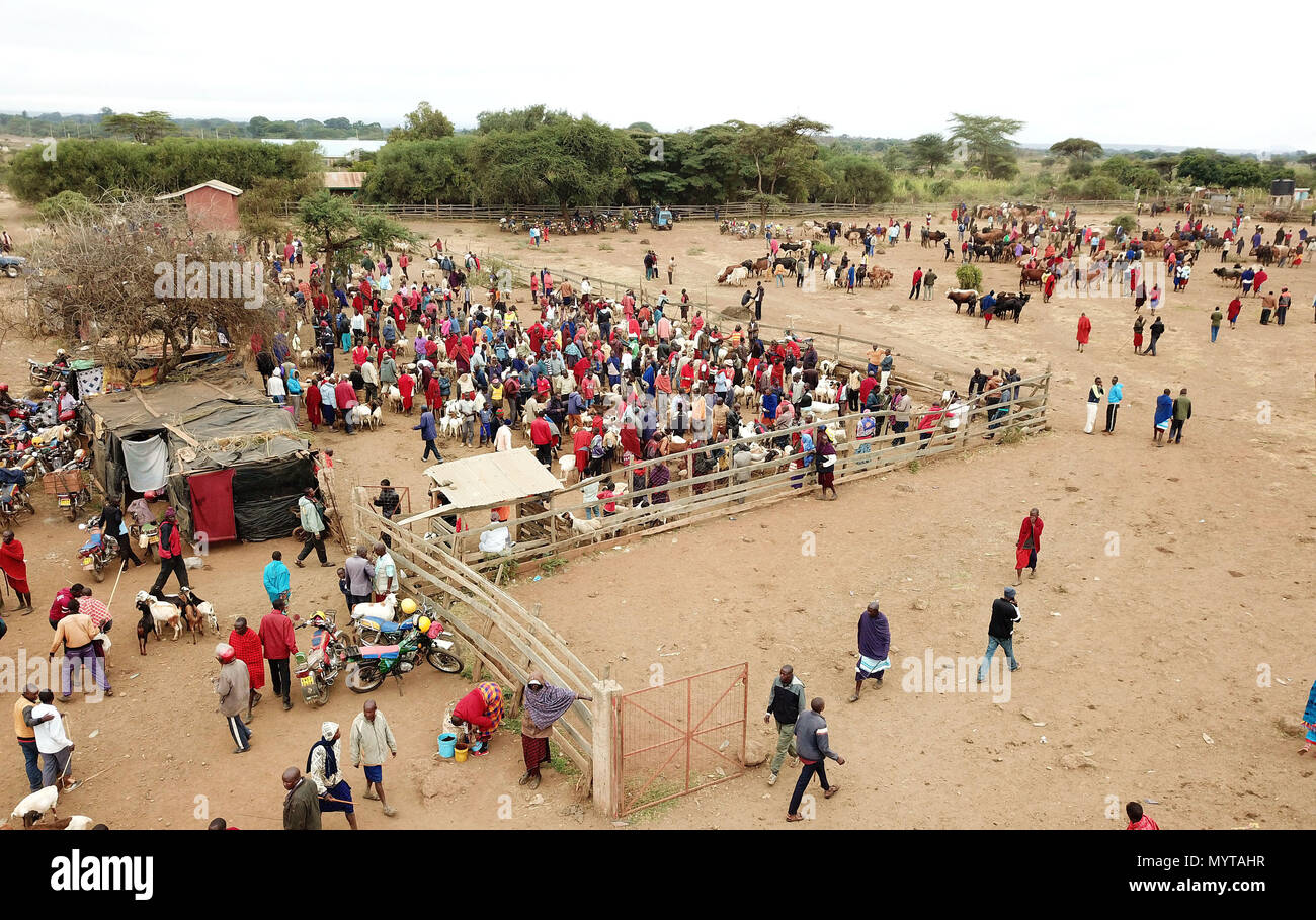 Nairobi. 5th June, 2018. Aerial photo taken on June 5, 2018 shows the Massai livestock market at Kimana town, southern Kenya. Hundreds of Maasai people gather at Kimana town every Tuesday, forming one of the largest Maasai livestock markets in Kenya. Maasai people mainly live in southern Kenya and northern Tanzania. As a nomadic ethnic group in eastern Africa, Maasai people rely on livestock breeding as their main source of income. Credit: Wang Teng/Xinhua/Alamy Live News Stock Photo