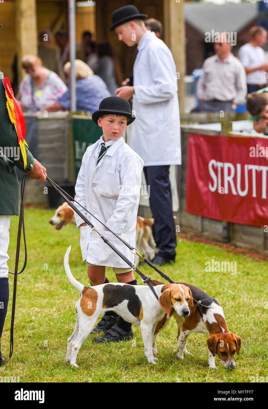 Ardingly Sussex UK 8th June 2018 - Young boy from the Trinity Foot & South Herts hounds competing with his father Matthew at the South of England Show in beautiful sunny weather held at the Ardingly Showground near Haywards Heath Sussex Photograph by Simon Dack Credit: Simon Dack/Alamy Live News Stock Photo