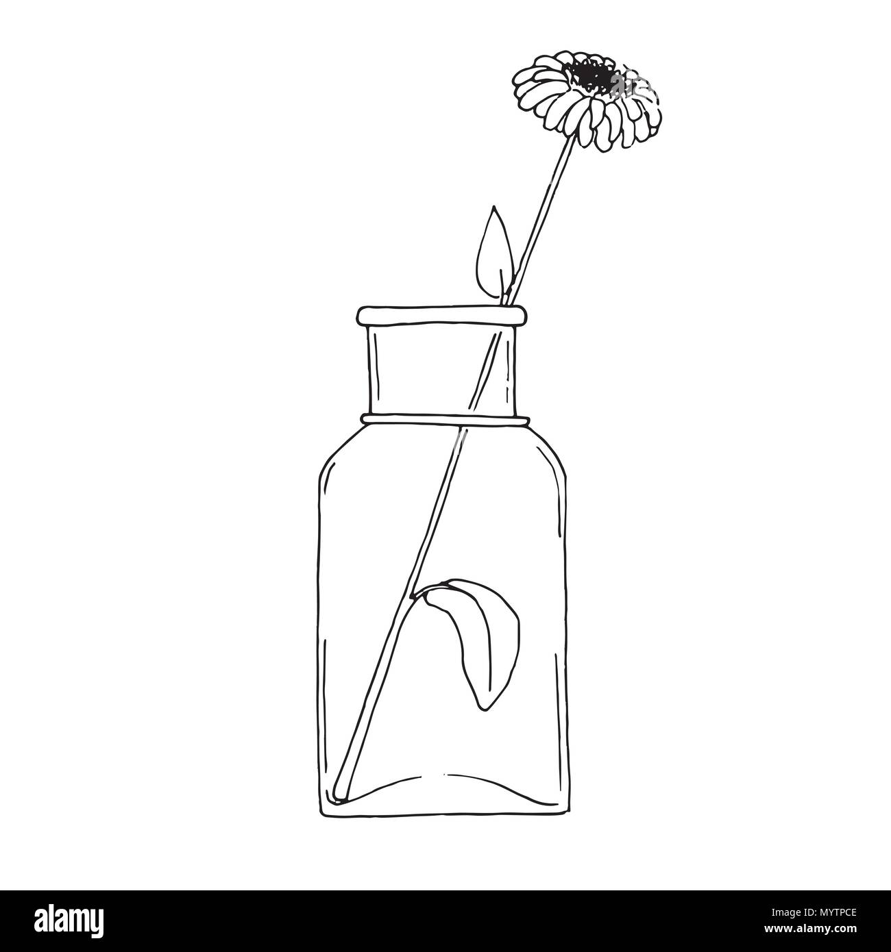 Sketch of a flower in a large transparent jar. Vector Stock Vector