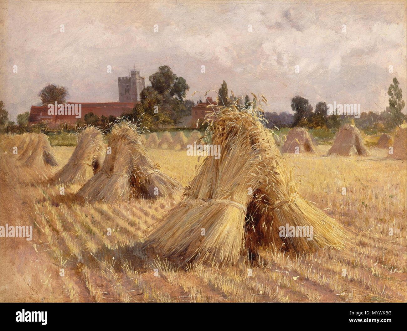 Corn Stooks Corn Stooks