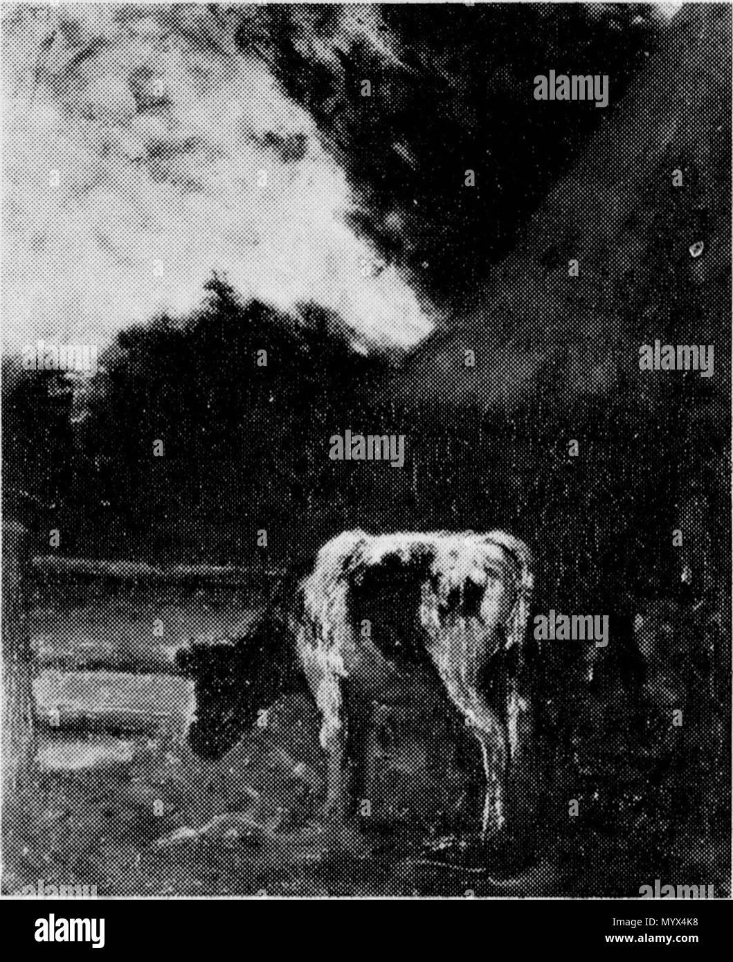 . Nederlands Een koe in de schemering. oil on canvas. 61 × 52 cm (24 ×