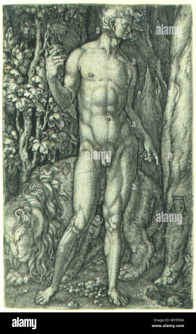 . Aldegrever, Heinrich (1502-1555/61): Adam and the Lion. Engraving, ca 1540. Bartsch, Hollstein 11. 91 X 62 mm. A fine impression in good condition, trimmed on or just into the platemark (Bartsch calls for 91 X 63 mm). a thin spot on verso.  . Adam with a Lion . circa 1540 277 Adam with a Lion Stock Photo