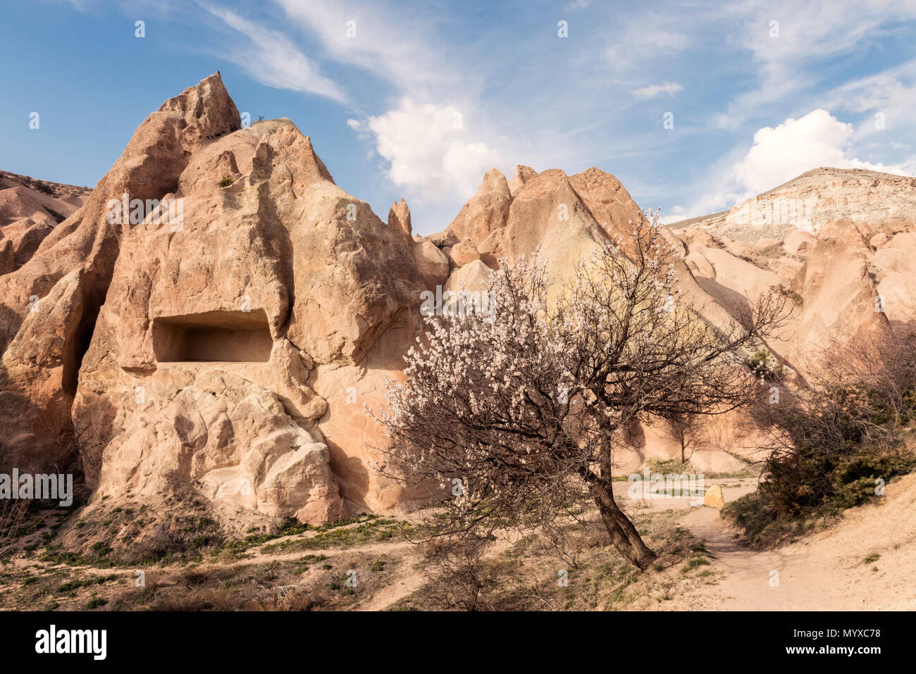 Rock formations, Cappadocia national park,goreme,urgup,nevsehir,Turkey country Stock Photo
