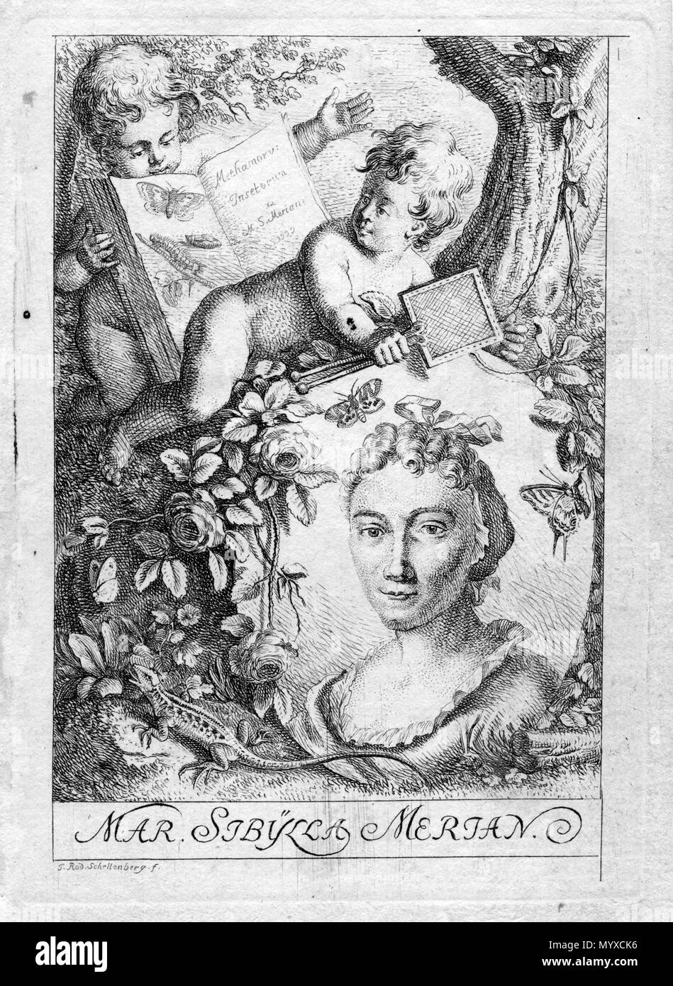 . Français : portrait gravé  . Unknown date. Johann Rudolf Schellenberg 10 Anna Maria Sibylla Merian (par Schellenberg) Stock Photo