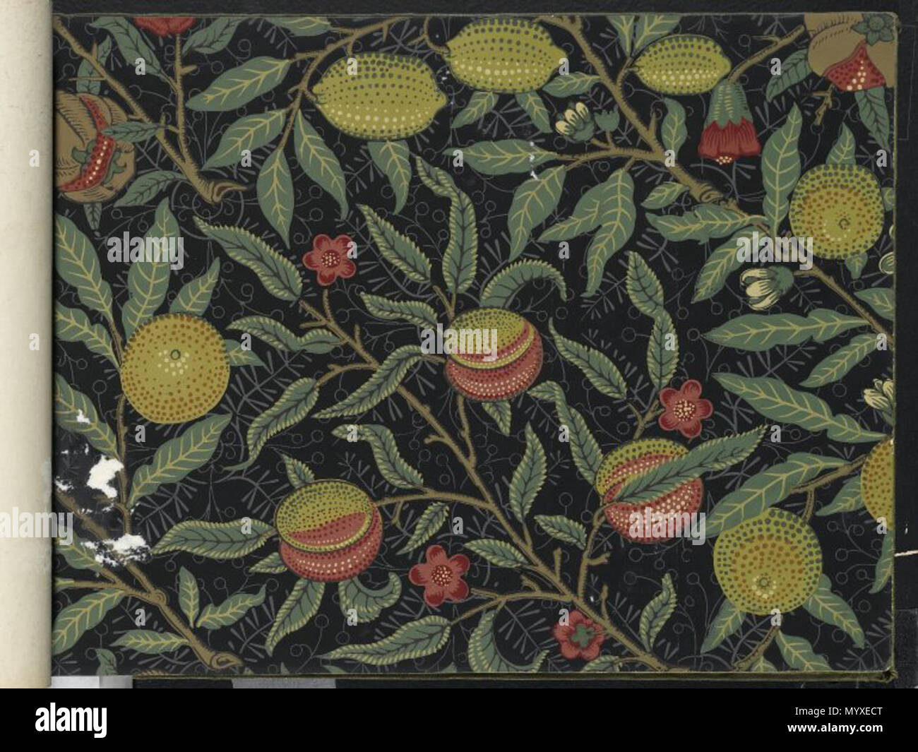 Wallpaper Sample Book 1 Page 64 Fruit Pattern 499 Between 1915 And 1917 17 Brooklyn Museum Wallpaper Sample Book 1 William Morris And Company Page064 Stock Photo Alamy