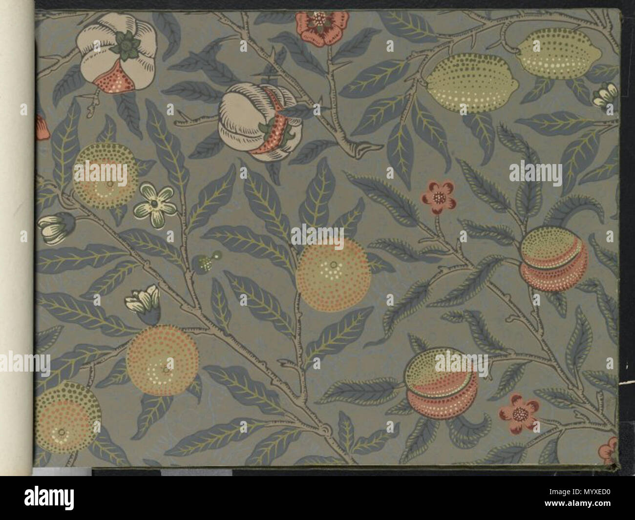 Wallpaper Sample Book 1 Page 67 Fruit Pattern 4 Between 1915 And 1917 17 Brooklyn Museum Wallpaper Sample Book 1 William Morris And Company Page067 Stock Photo Alamy