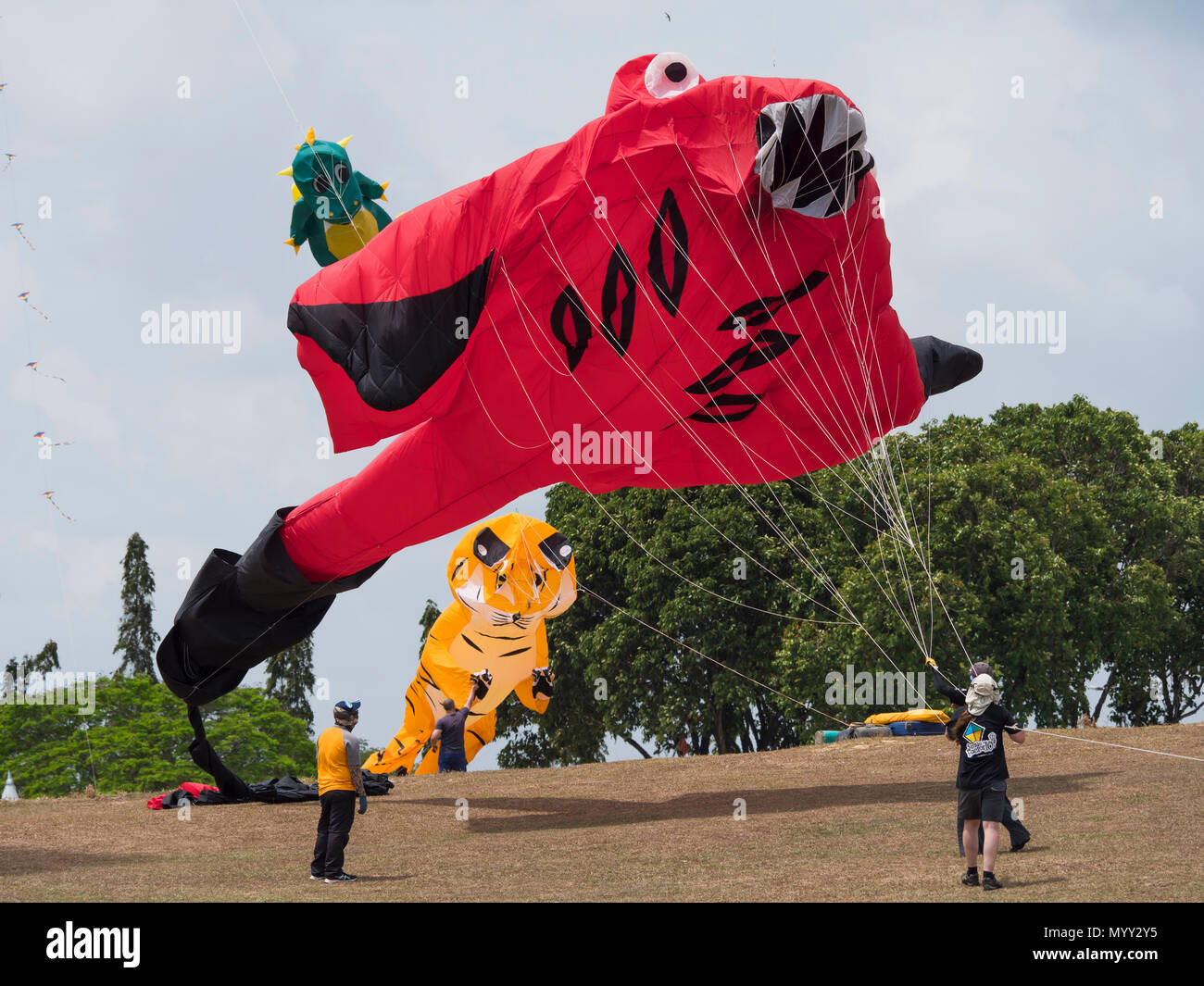 Large kite shaped as a manta ray being launched at the Pasir Gudang World Kite Festival in the Johor State of Malaysia. Stock Photo