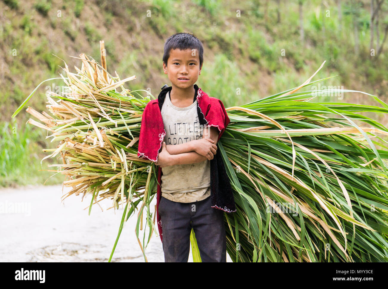 A boy carrying crops in Ha Giang Province ,North Vietnam Stock Photo