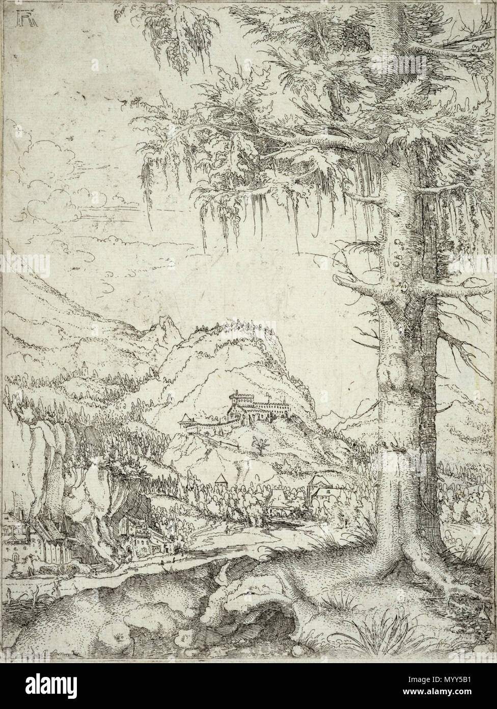 FIT282855 . German: Die Große Fichte Large Spruce . circa 1517 — 1520 282 Albrecht Altdorfer - The large spruce (Fitzwilliam Museum AD.5.22-122) Stock Photo