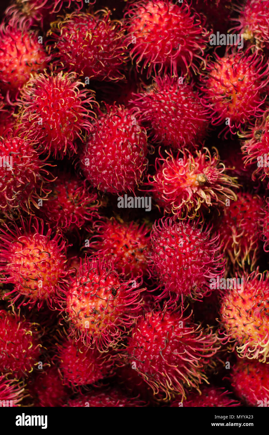 Plump and ripe, these vibrant red rambutans offer a burst of sweet, tropical flavor with their juicy flesh hidden within spiky exteriors. Stock Photo