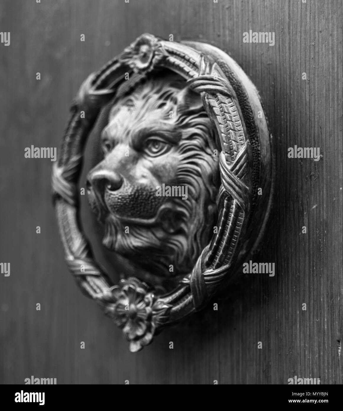 Door with brass knocker in the shape of a lion,  beautiful entrance to the house, vintage decoration Stock Photo