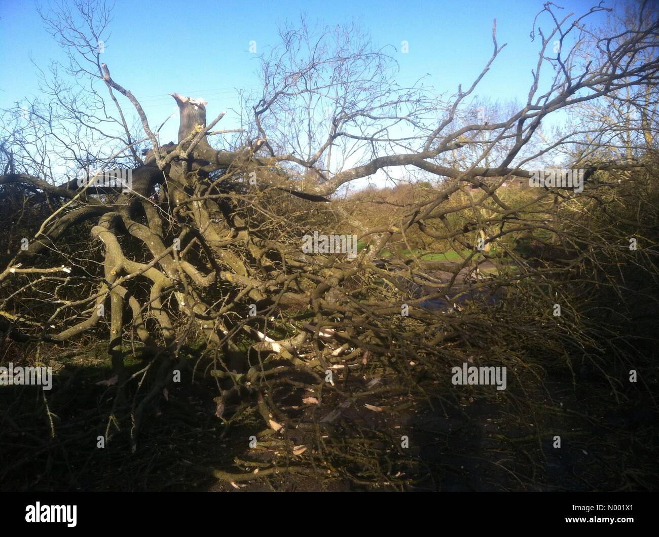 Market rasen hires stock photography and images Alamy