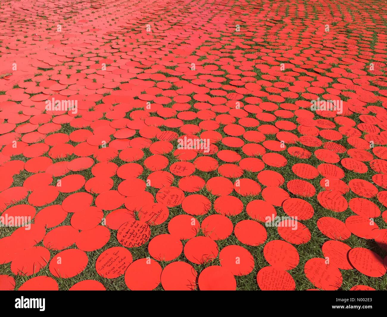 Parnell, Auckland, New Zealand. 25th Apr, 2015. Giant poppy project in the Auckland Domain, Auckland,New Zealand, for Anzac Day 2015. Credit:  Chris Howarth/StockimoNews/Alamy Live News Stock Photo