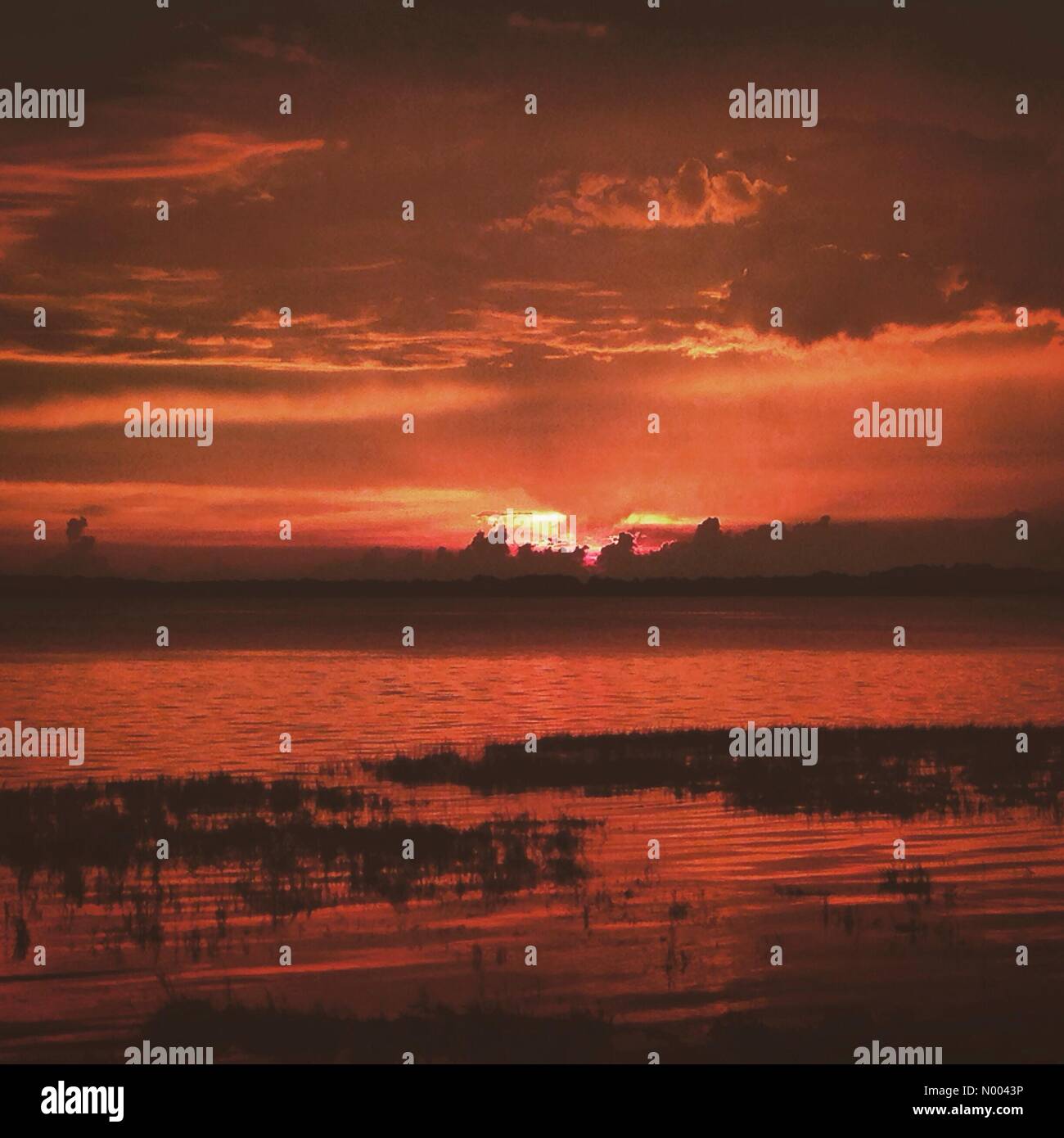 Lake Minneola, Florida, USA. 20th Aug, 2015. Sunset. The clear weather