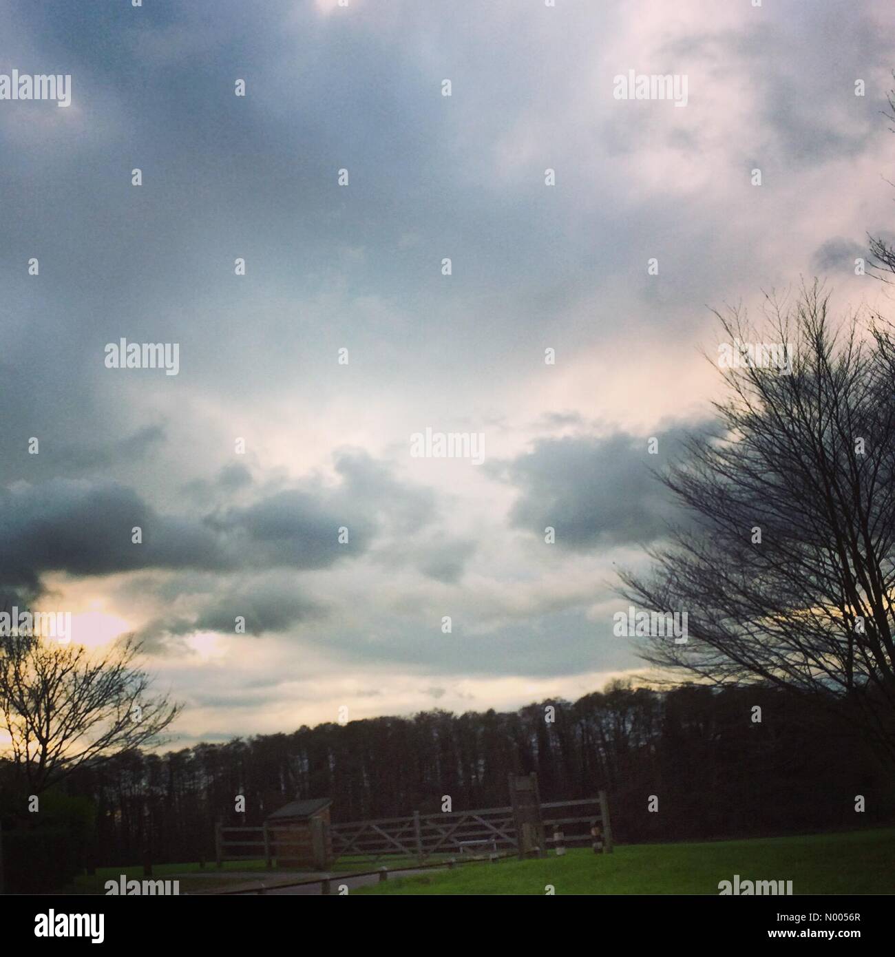 Shalford Rd, Guildford, Surrey, UK. 25th Nov, 2015. UK weather November