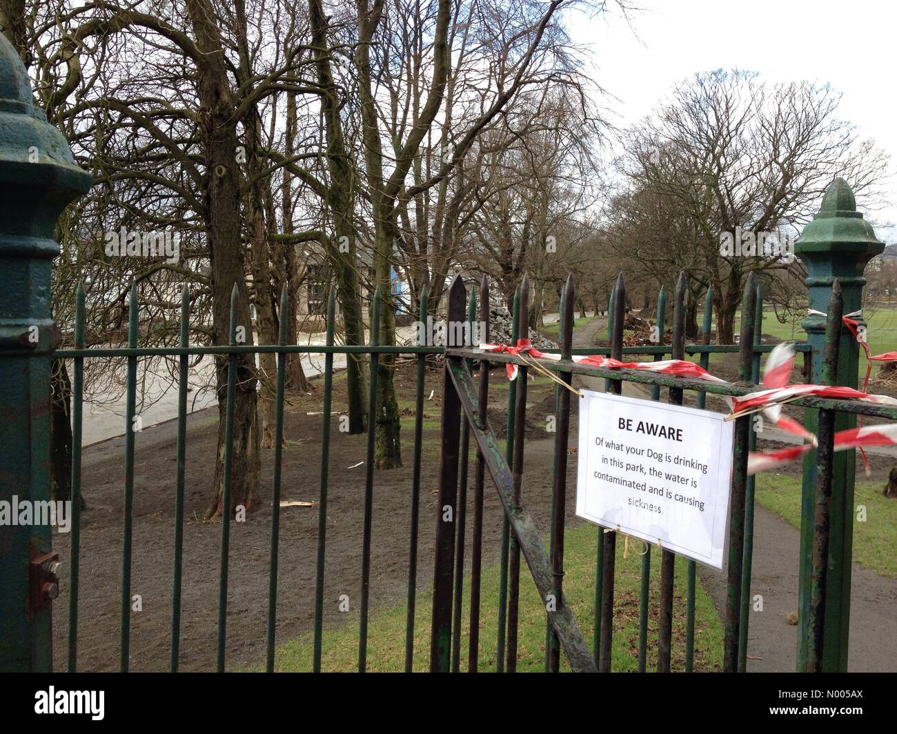 Station Rd, Keswick, Cumbria, UK. 19th Dec, 2015. On a wet and windy day dog walkers are warned that the recent flooding has caused the waters of the river Greta to become contaminated and is causing sickness. Fitz Park Keswick Cumbria Credit:  Glenys Nicholson/StockimoNews/Alamy Live News Stock Photo