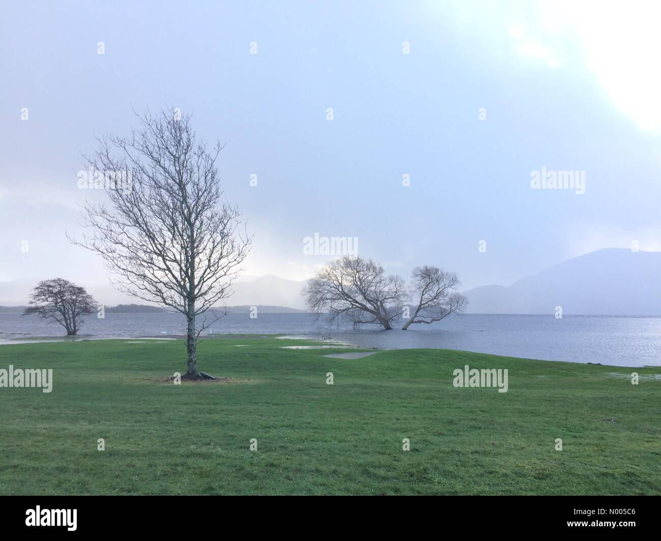 Submerged trees in Killarney golf and fishing club, Fossa. Lough Leane lake high waters due to heavy rain flooded coastal area in local park as of 2015 In Ireland Stock Photo