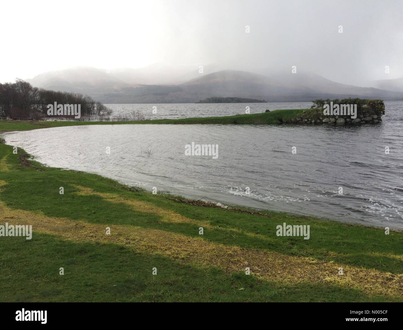 Ireland weather. Flooded golf course Killarney National Park, Fossa as