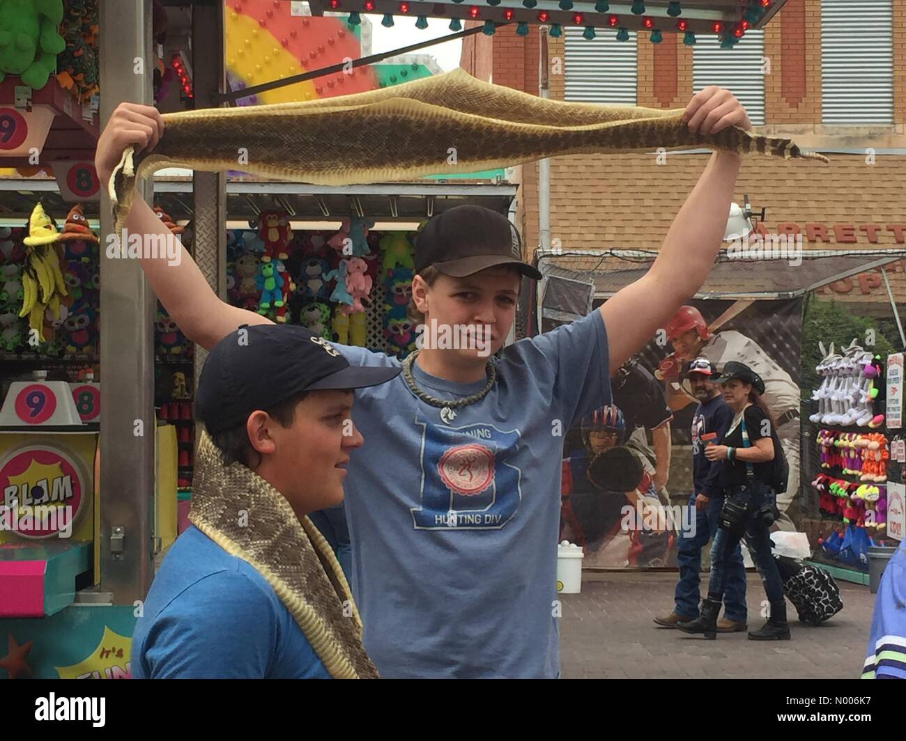 Rattlesnake skins hires stock photography and images Alamy