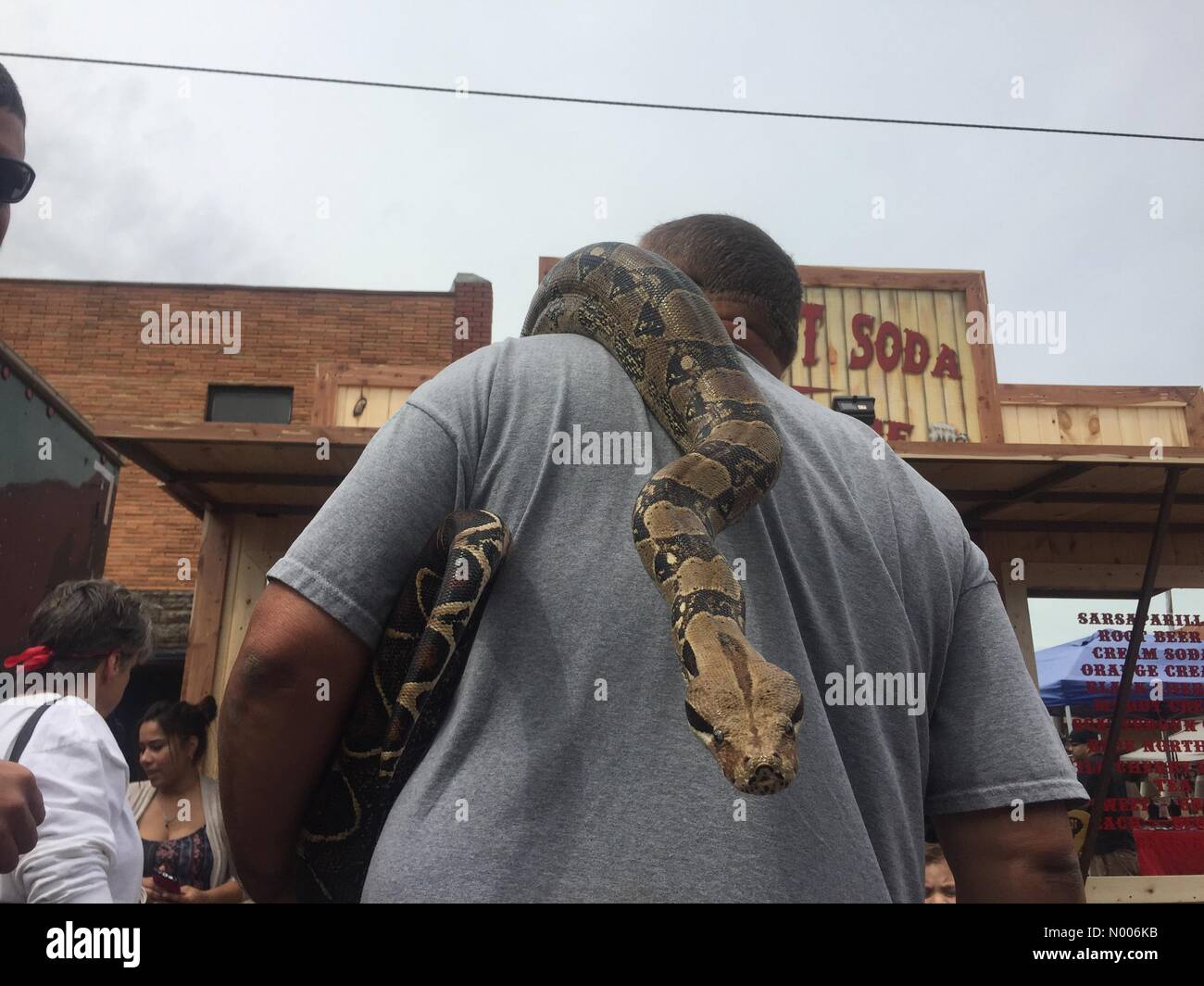 Waurika rattlesnake hunt hires stock photography and images Alamy