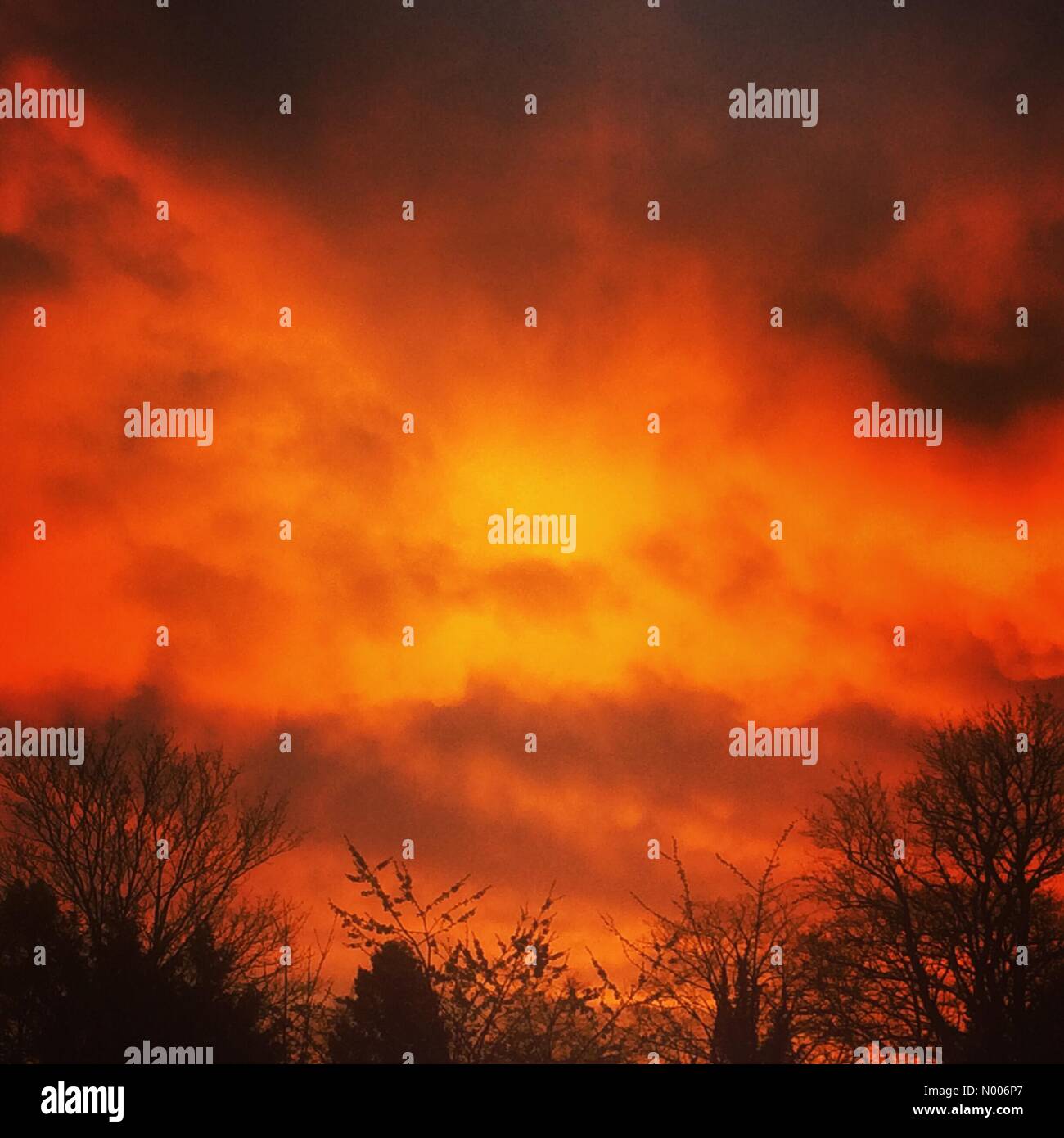 Rowan Dr, Godalming, Surrey, UK. 21st Apr, 2016. UK Weather April 21st 2016: High pressure conditions prevail over Surrey bringing a glorious sunrise. Credit:  jamesjagger/StockimoNews/17�Թ����� Live News Stock Photo