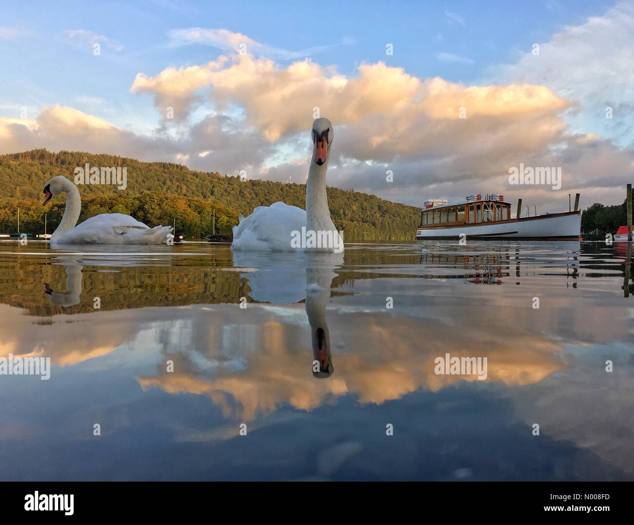UK Weather Early morning sun at BownessonWindermere. Swan reflected