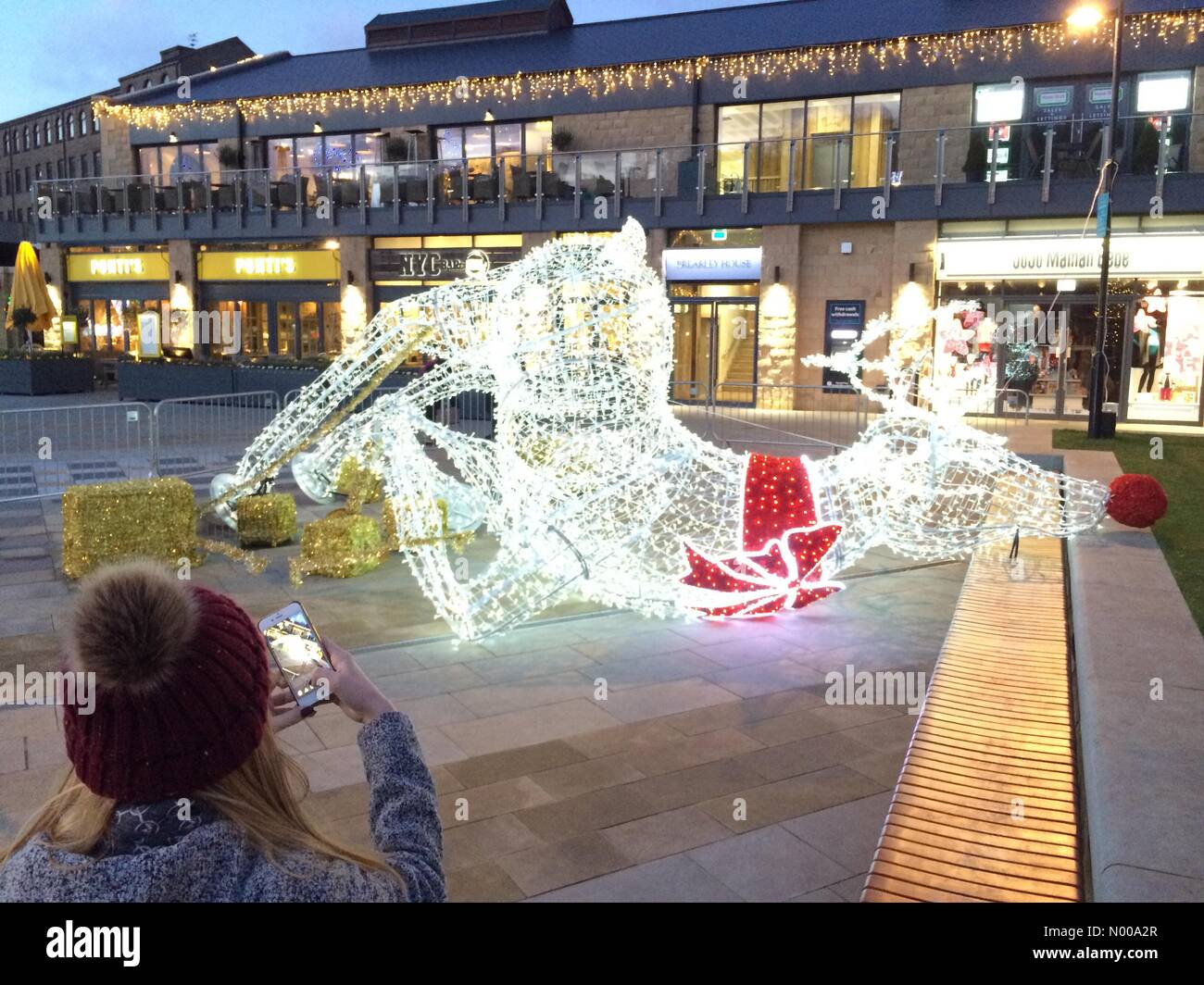 Sheffield, South Yorkshire, England - 26 December 2016: UK weather - a girl takes a photo of a fed up looking reindeer that has been toppled by a strong gust of wind at Fox Valley retail park Stock Photo