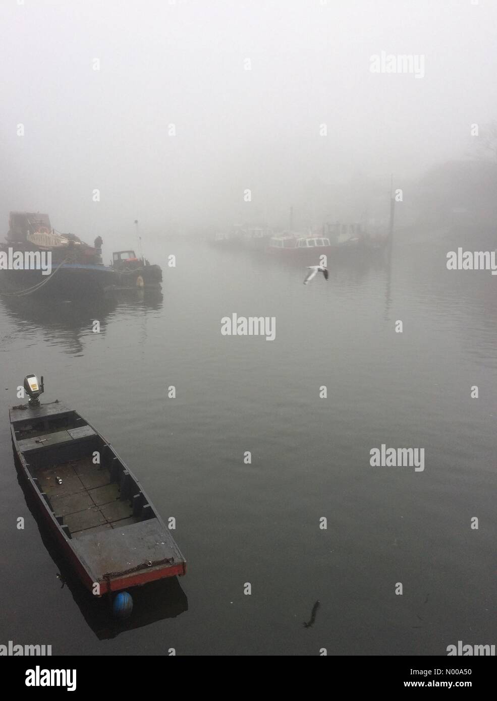 Twickenham, Middlesex, UK. 30th Dec, 2016. Boats moored in the mist on Thames by eel pie island twickenham Middlesex Credit: Tricia de Courcy Ling / StockimoNews/Alamy Live News Stock Photo