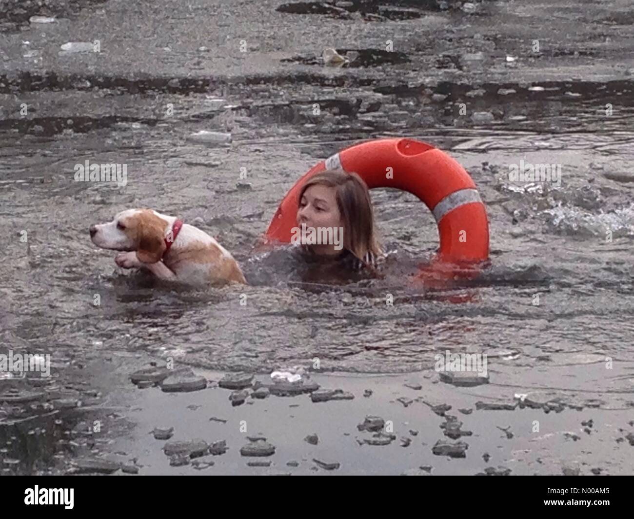 Alexandra Palace, London, UK. 23rd Jan, 2017. Woman saves dog from frozen boating lake at Alexandra Palace, North London. Credit: Robert Christopher / StockimoNews/Alamy Live News Stock Photo