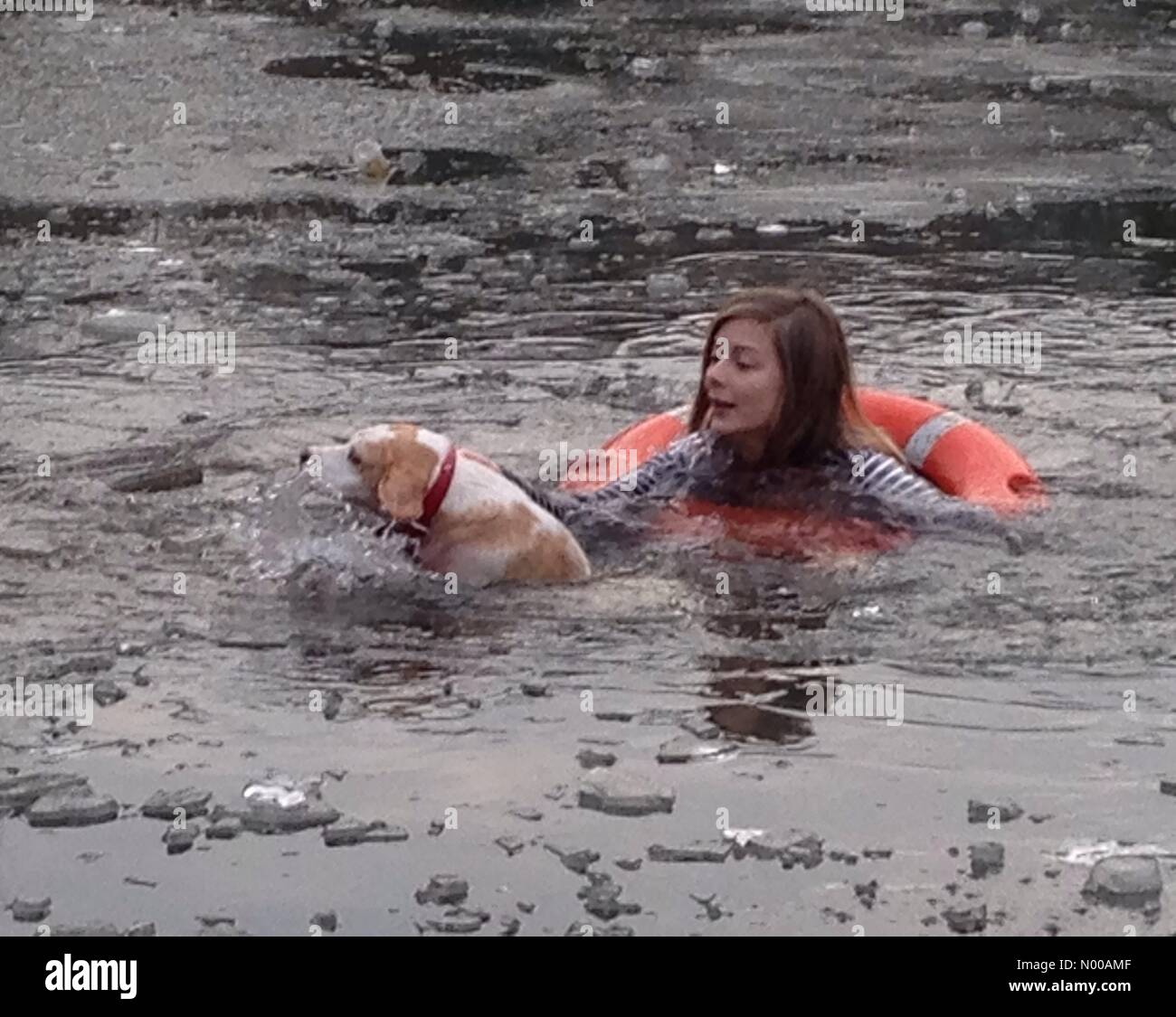 Alexandra Palace, North London, UK. 23rd January 2017. Woman saves dog from frozen boating lake at Alexandra Palace, North London. Credit: Robert Christopher / StockimoNews/Alamy Live News Stock Photo