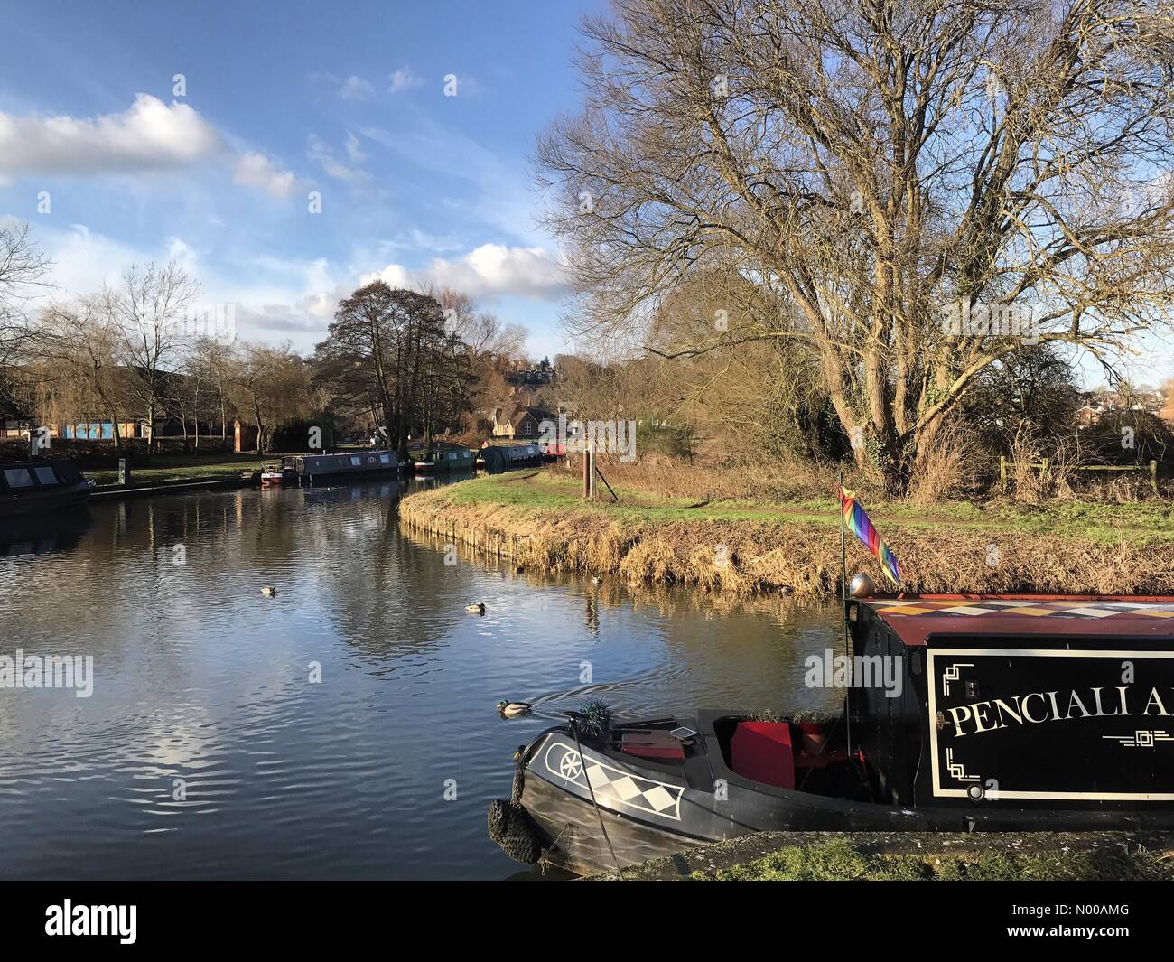 Langham Park, Catteshall Ln, Godalming, UK. 24th Jan, 2017. UK Weather: Sunny over Godalming. Cold and foggy conditions gave way to bright sunshine over the Home Counties this afternoon. The River Wey, Godalming, Surrey. Credit: jamesjagger/StockimoNews/Alamy Live News Stock Photo