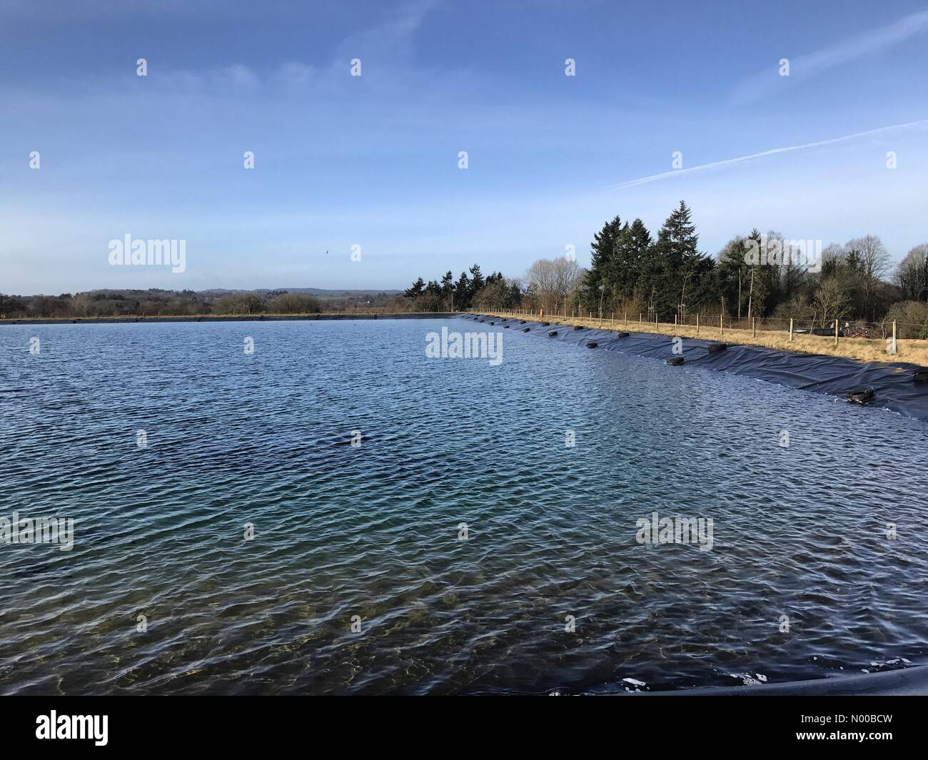 Godalming, UK. 04th Mar, 2017. UK Weather Spring sunshine in Godalming