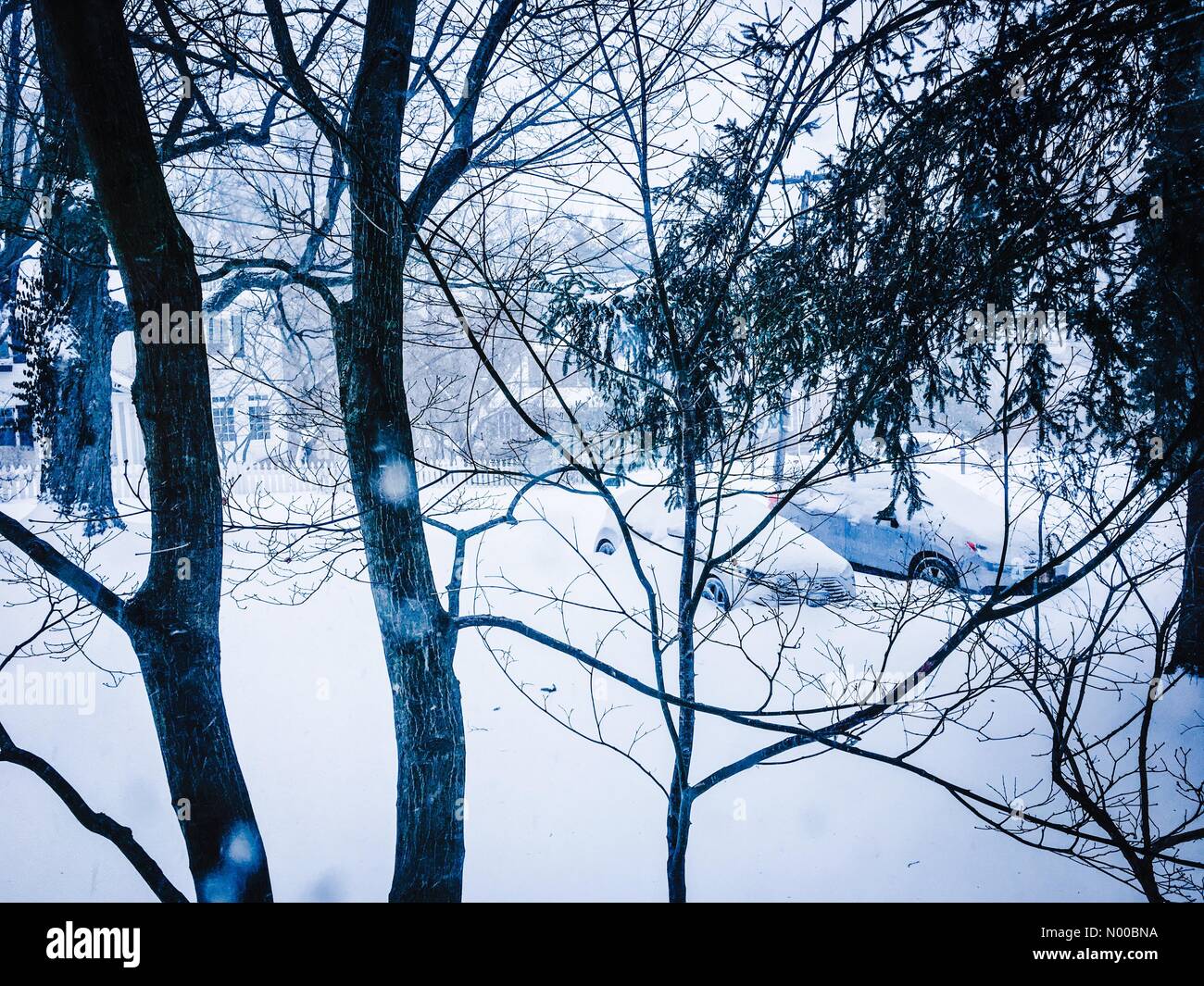 20 inches hires stock photography and images Alamy